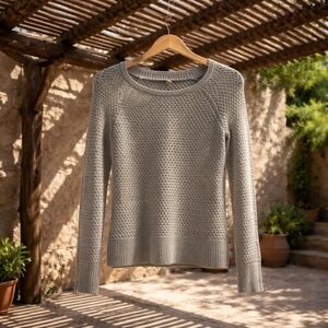 American Eagle Outfitters Light Gray Crew Neck Sweater